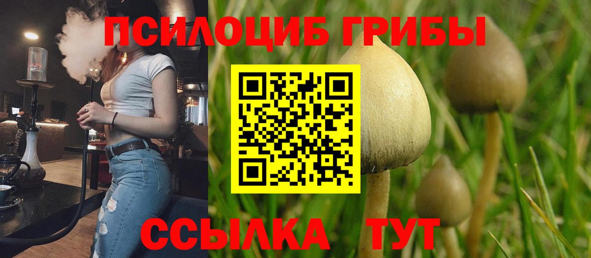 Шадринск  Псилоцибиновые грибы Magic Shrooms  Вход с VPN 