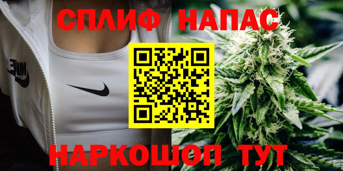 Бошки Шишки планчик Шадринск